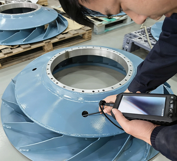 Endoscopic Examination